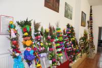 IMG_2868.JPG