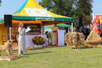 IMG_4454.JPG