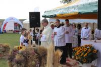 IMG_4463.JPG