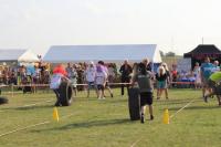 IMG_4649.JPG