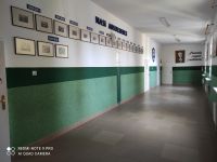 IMG_20210224_123334