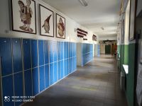 IMG_20210224_124407