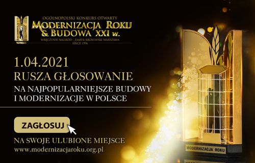 Plebiscyt Internetowy-grafika