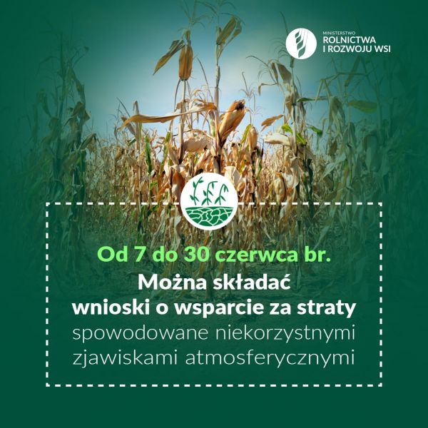 szkody