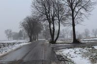 IMG_8913
