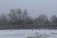 IMG_8896