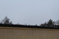 IMG_8919