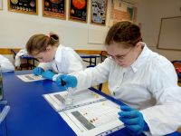 laboratorium 1