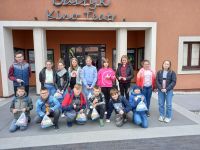 Rypin - kino