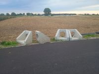 IMG_20230818_081644325