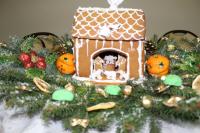 IMG_7421.JPG