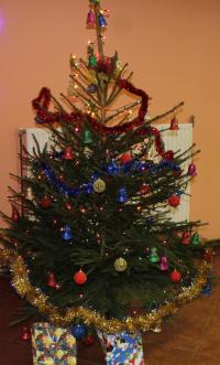 IMG_7653.JPG