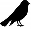 Ptasia grypa - informacja